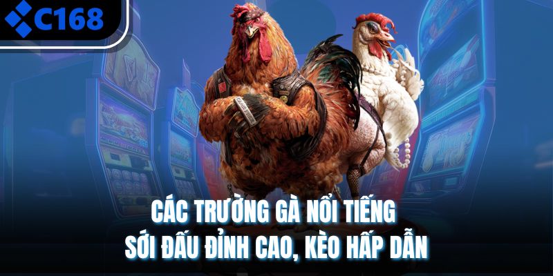 Các Trường Gà Nổi Tiếng – Sới Đấu Đỉnh Cao, Kèo Hấp Dẫn