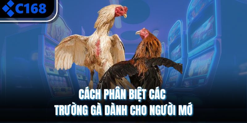 Cách phân biệt các trường gà dành cho người mới
