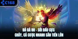 Đá Gà 88 – Sới Đấu Cực Cháy, Cá Cược Nhanh Săn Tiền Lớn