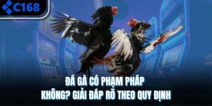 Đá Gà Có Phạm Pháp Không? Giải Đáp Rõ Theo Quy Định