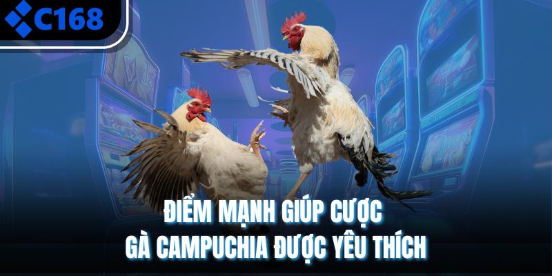 Điểm mạnh giúp cược gà Campuchia được yêu thích