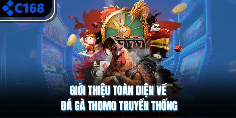 Giới thiệu toàn diện về đá gà Thomo truyền thống