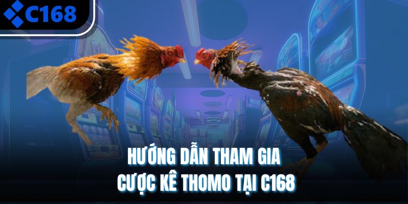 Hướng dẫn tham gia cược kê Thomo tại C168