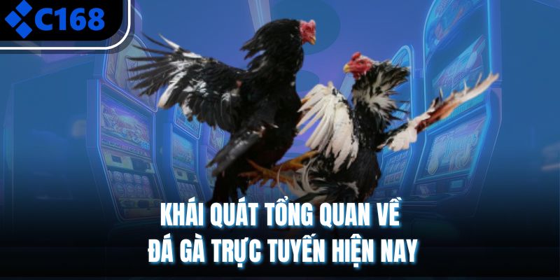 Khái quát tổng quan về đá gà trực tuyến hiện nay