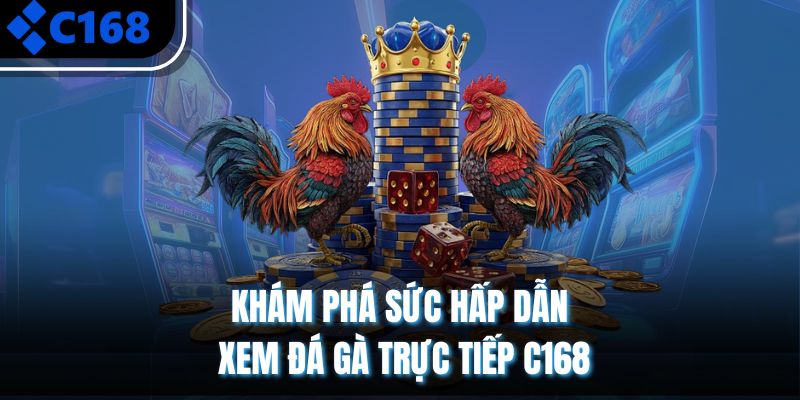 Khám phá sức hấp dẫn xem đá gà trực tiếp C168