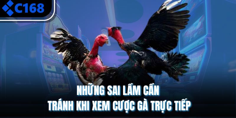 Những sai lầm cần tránh khi xem cược gà trực tiếp