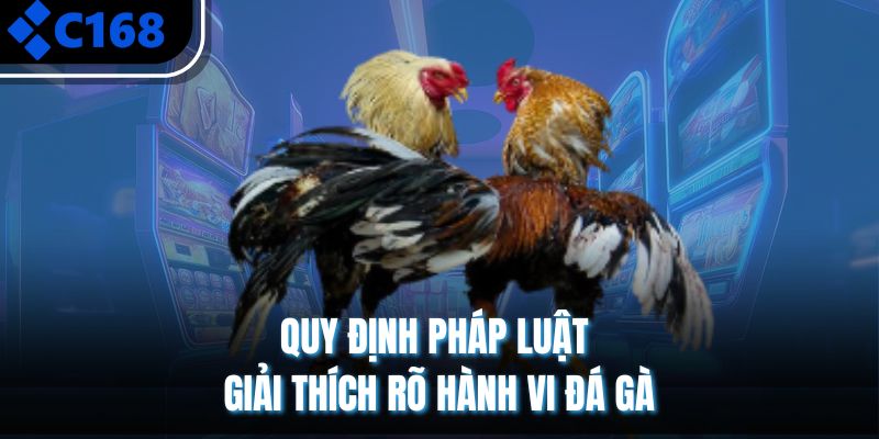 Quy định pháp luật giải thích rõ hành vi đá gà
