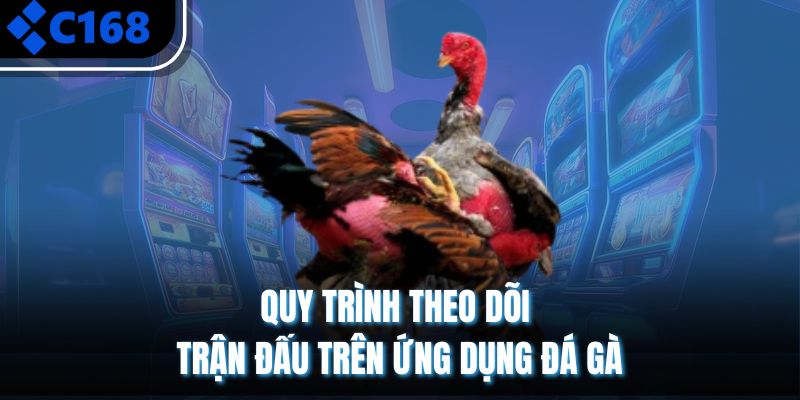 Quy trình theo dõi trận đấu trên ứng dụng đá gà