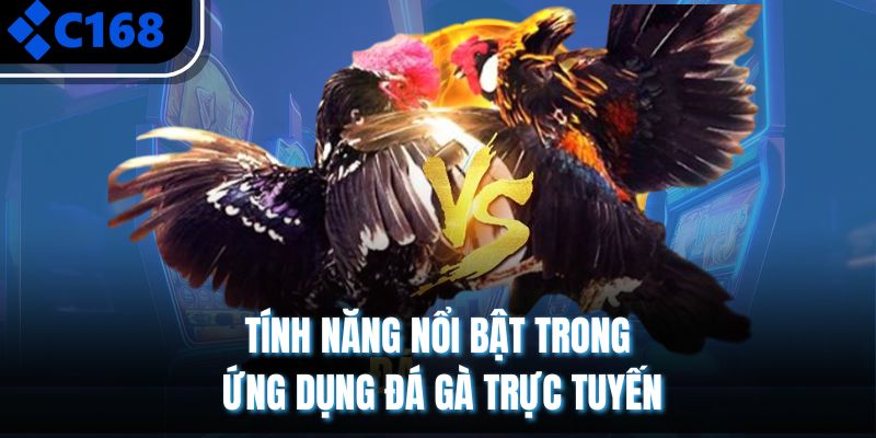 Tính năng nổi bật trong ứng dụng đá gà trực tuyến