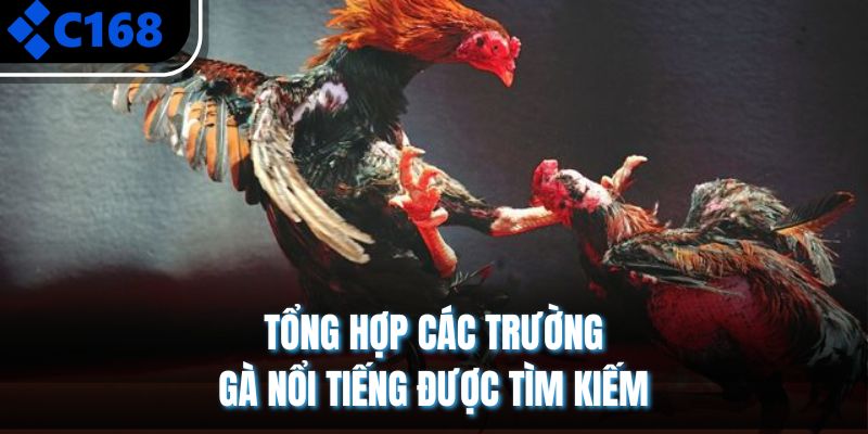 Tổng hợp các trường gà nổi tiếng được tìm kiếm 