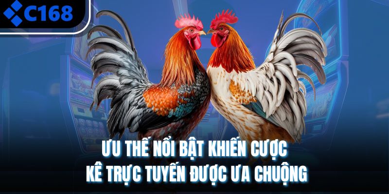 Ưu thế nổi bật khiến cược kê trực tuyến được ưa chuộng